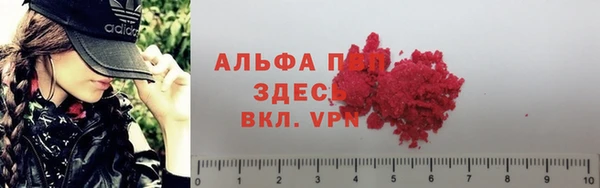 мескалин Богданович