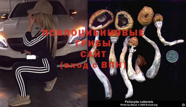 тгк Богородск