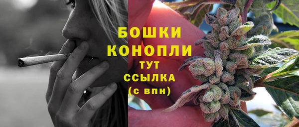 тгк Богородск