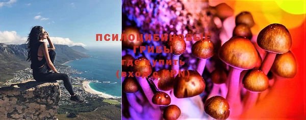 mdpv Бугульма