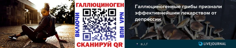 Галлюциногенные грибы мухоморы  купить наркотики сайты  Гудермес 